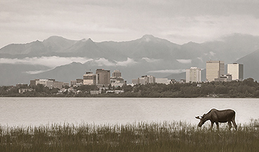 Atwood Foundation Board Members